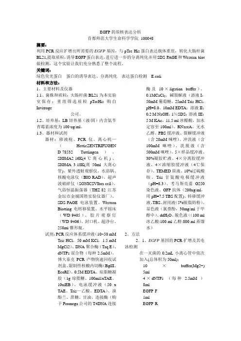 EGFP的原核表达分析