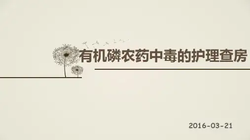 有机磷中毒护理查房