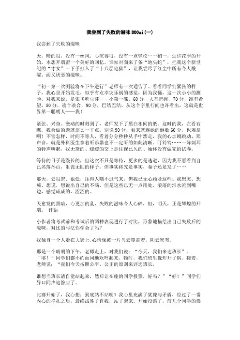 我尝到了失败的滋味800zi