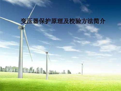 主变保护原理、校验