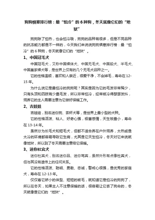 狗狗惧寒排行榜：最“怕冷”的6种狗，冬天就像它们的“地狱”