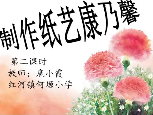 康乃馨