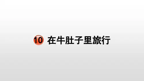 《在牛肚子里旅行》完美版课件1