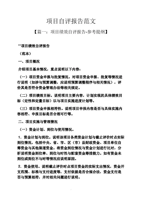 工作报告之项目自评报告范文