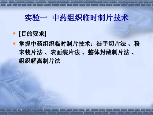 01实验1 中药组织临时制片技术
