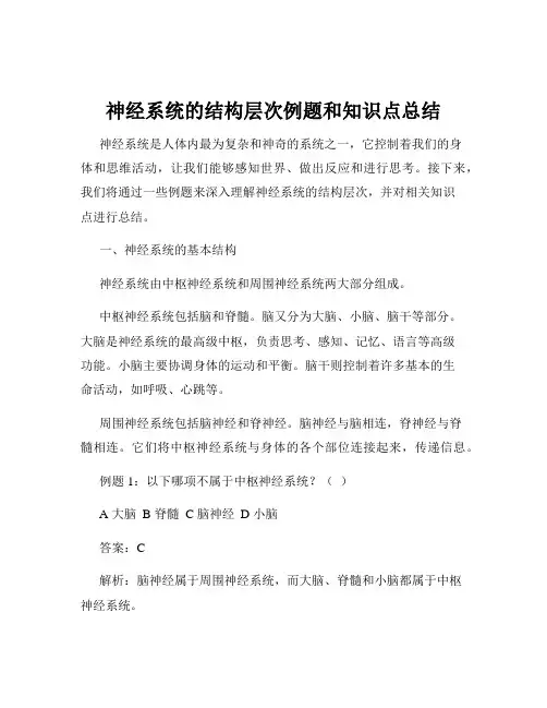 神经系统的结构层次例题和知识点总结