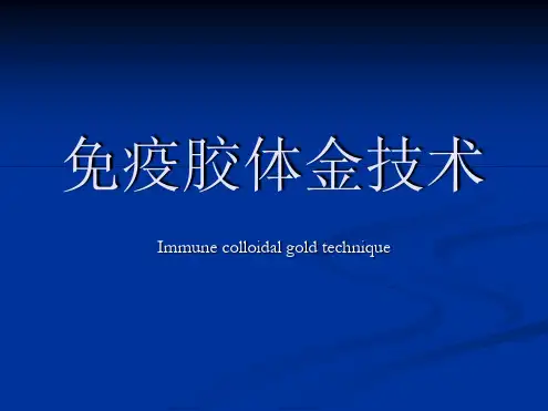 免疫胶体金技术要点