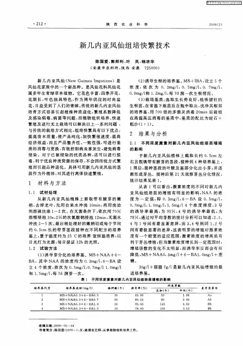 新几内亚凤仙组培快繁技术