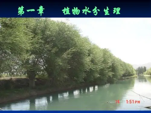 1 水分