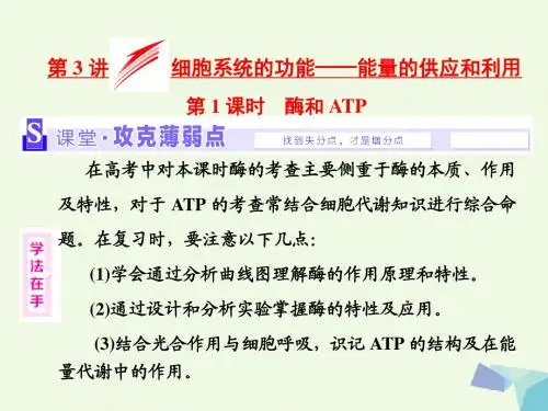 三维设计通用版2017届高考生物二轮复习第一部分专题一细胞系统第3讲第1课时酶和ATP课件