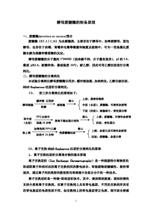 浙江大学生物化学实验甲酵母蔗糖酶的提取原理