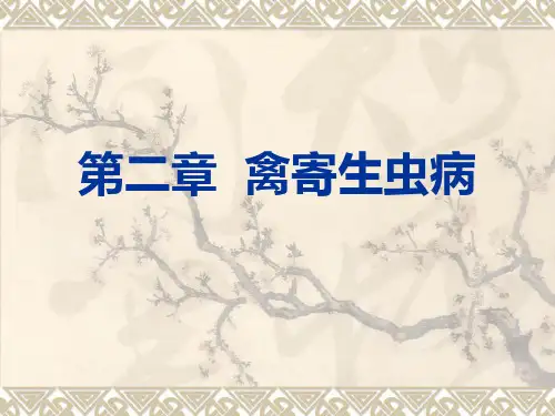 鸡球虫病