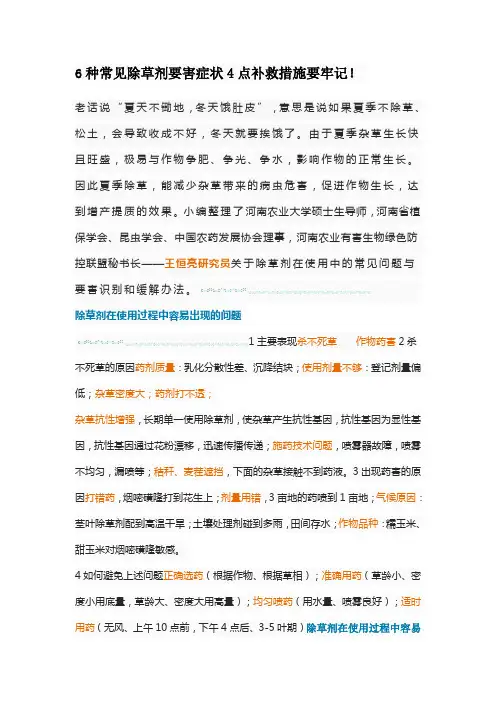 6种常见除草剂要害症状4点补救措施要牢记