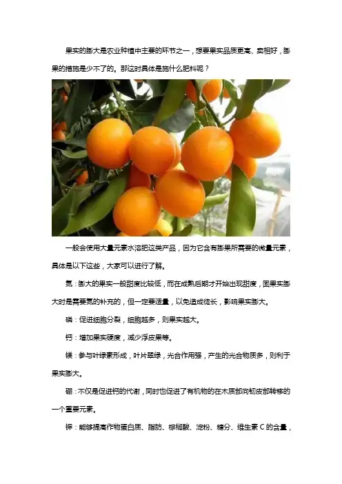 膨果的肥料有哪些