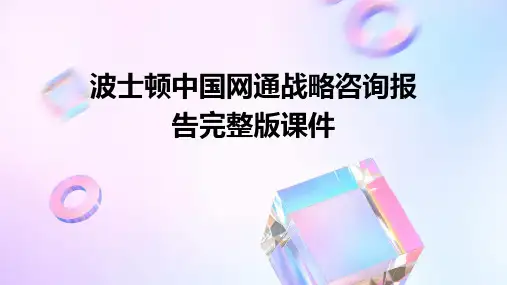 波士顿中国网通：战略咨询报告完整版课件