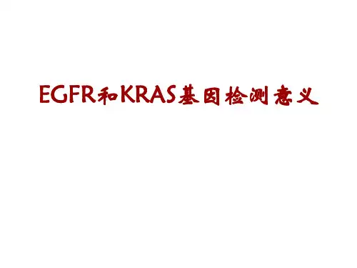 EGFR和KRAS基因检测意义