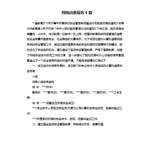 网络自查报告4篇