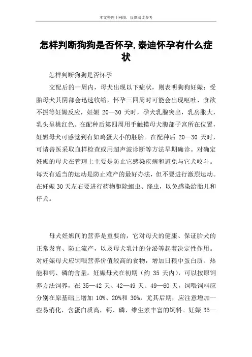 怎样判断狗狗是否怀孕,泰迪怀孕有什么症状
