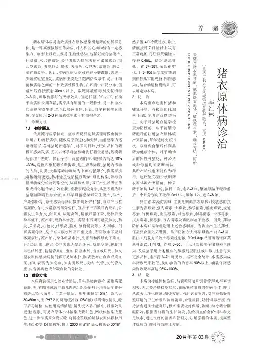 猪衣原体病诊治