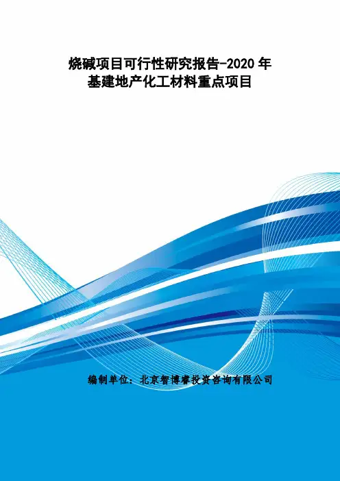 烧碱项目可行性研究报告-2020年基建地产化工材料重点项目