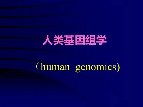 人类基因组学与基因组计划ppt课件