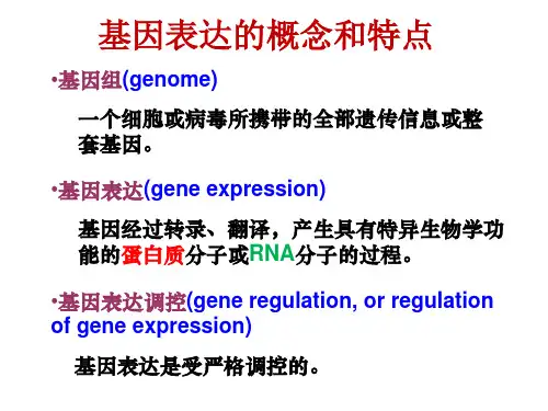 基因表达的概念和特点
