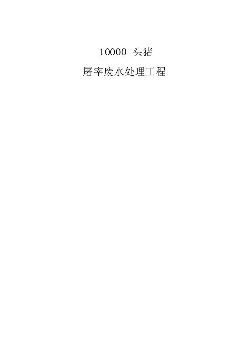 10000头屠宰猪废水处理方案