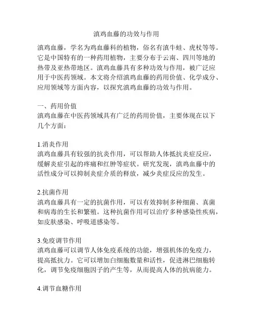 滇鸡血藤的功效与作用