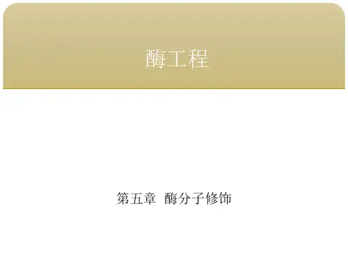 酶工程 第五章酶分子修饰 第四节酶蛋白侧链基团修饰