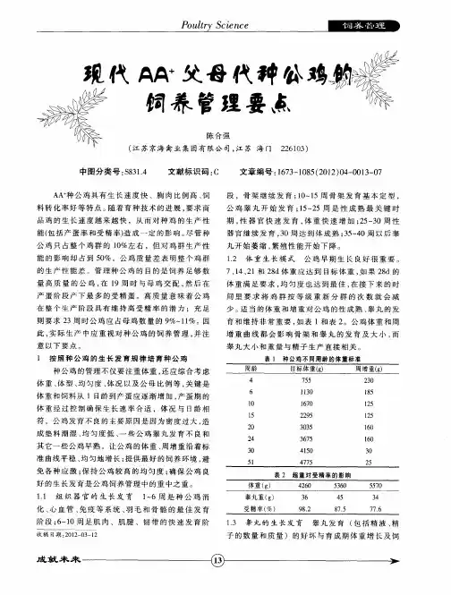 现代AA~+父母代种公鸡的饲养管理要点