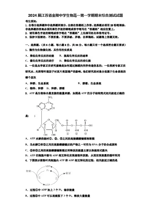 2024届江苏省金陵中学生物高一第一学期期末综合测试试题含解析