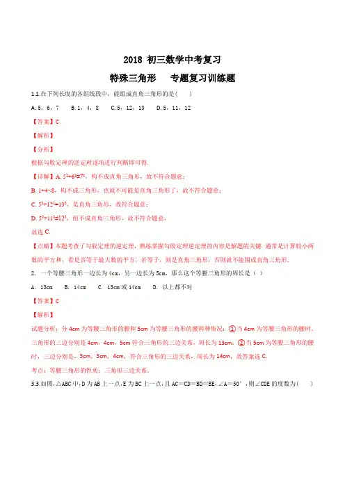 2018 九年数学中考复习  特殊三角形  专题复习训练题(解析版)
