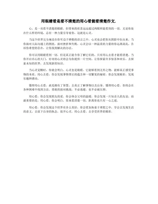 用眼睛看是看不清楚的用心看能看清楚作文.