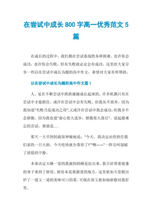 在尝试中成长800字高一优秀范文5篇
