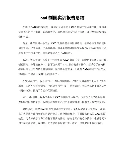 cad制图实训报告总结