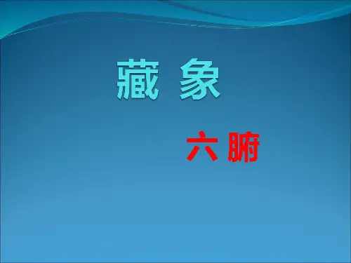六_腑