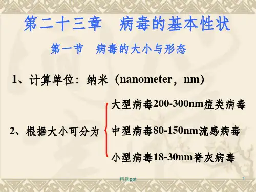 《病毒的基本性状》PPT课件