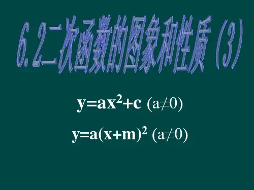 新苏科版九年级数学下册《5章 二次函数  5.2 二次函数的图像和性质  y=ax^2+bx+c的图像》课件_31