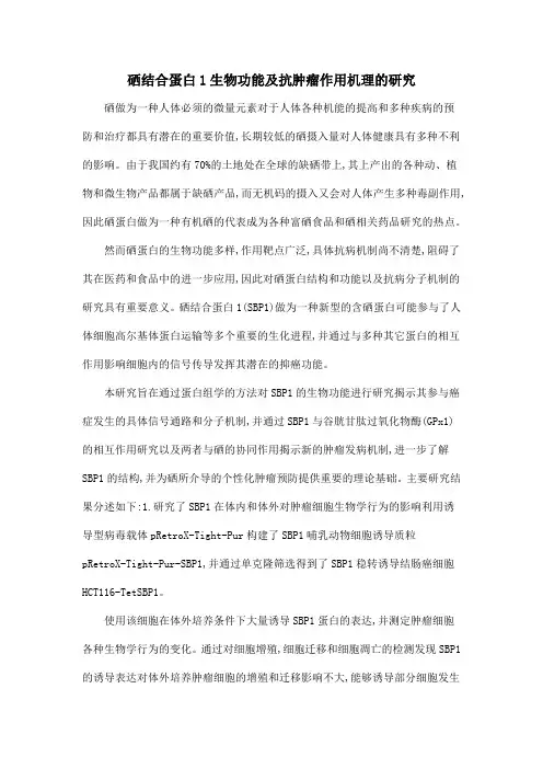 硒结合蛋白1生物功能及抗肿瘤作用机理的研究