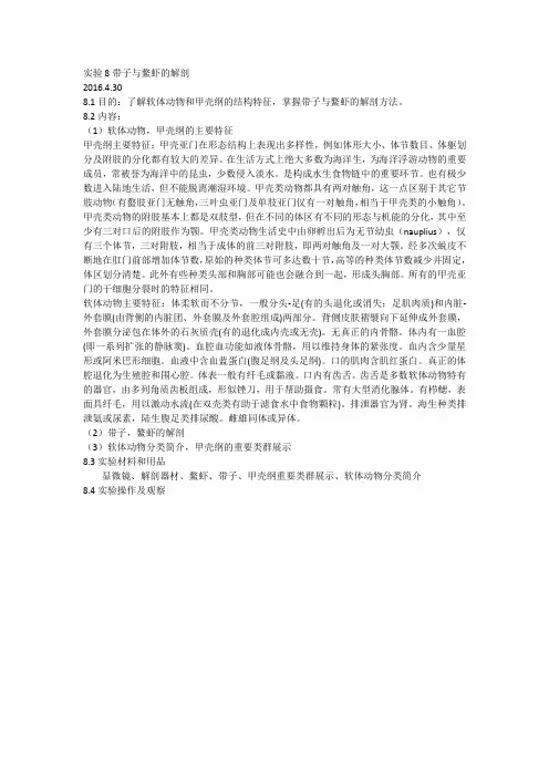 鳌虾与带子的解剖