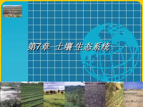 第七章 土壤生态系统