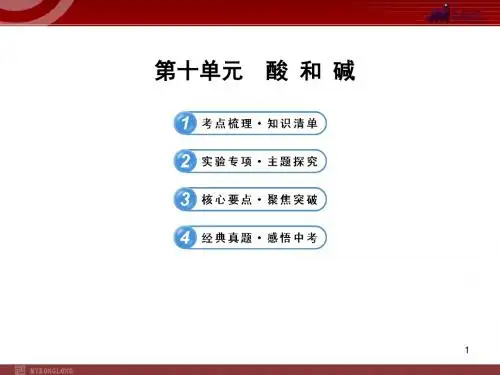 新人教版中考化学专题复习课件：第10单元 酸和碱