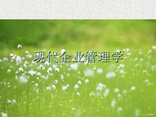 现代企业管理PPT教学课件