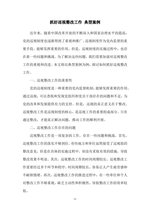 抓好巡视整改工作 典型案例