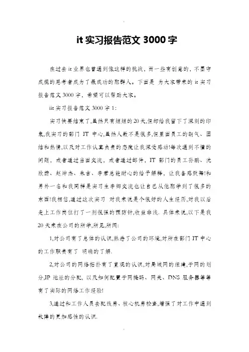 it实习报告范文3000字