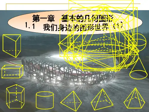 1.1我们身边的图形世界