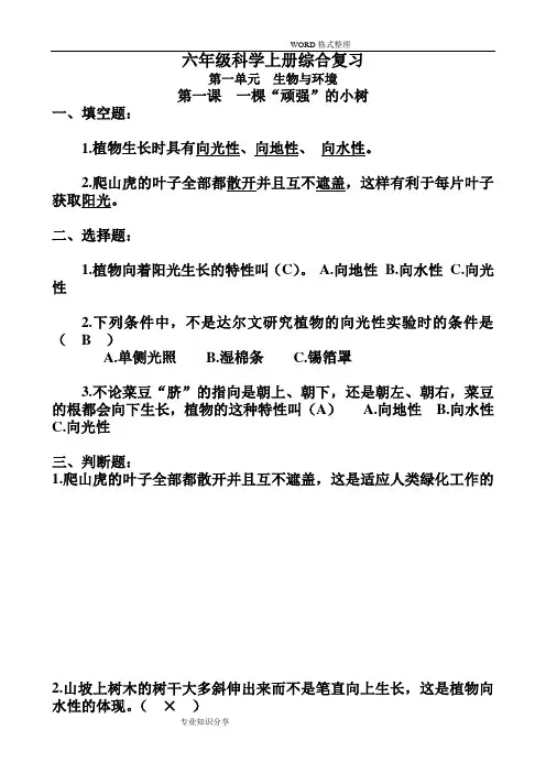 湘教版六年级(上册)科学复习资料全