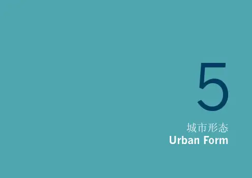 SOM城市设计导则-天津于家堡金融区起步区城市设计导则