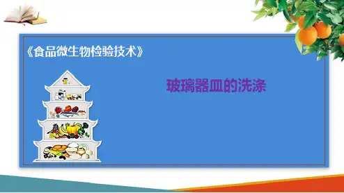 食品中微生物的检验—微生物检验实验室基本要求(食品微生物控制技术课件)