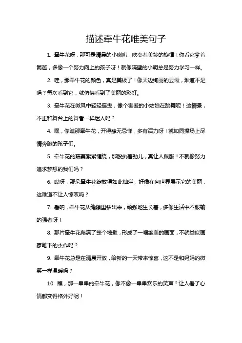 描述牵牛花唯美句子